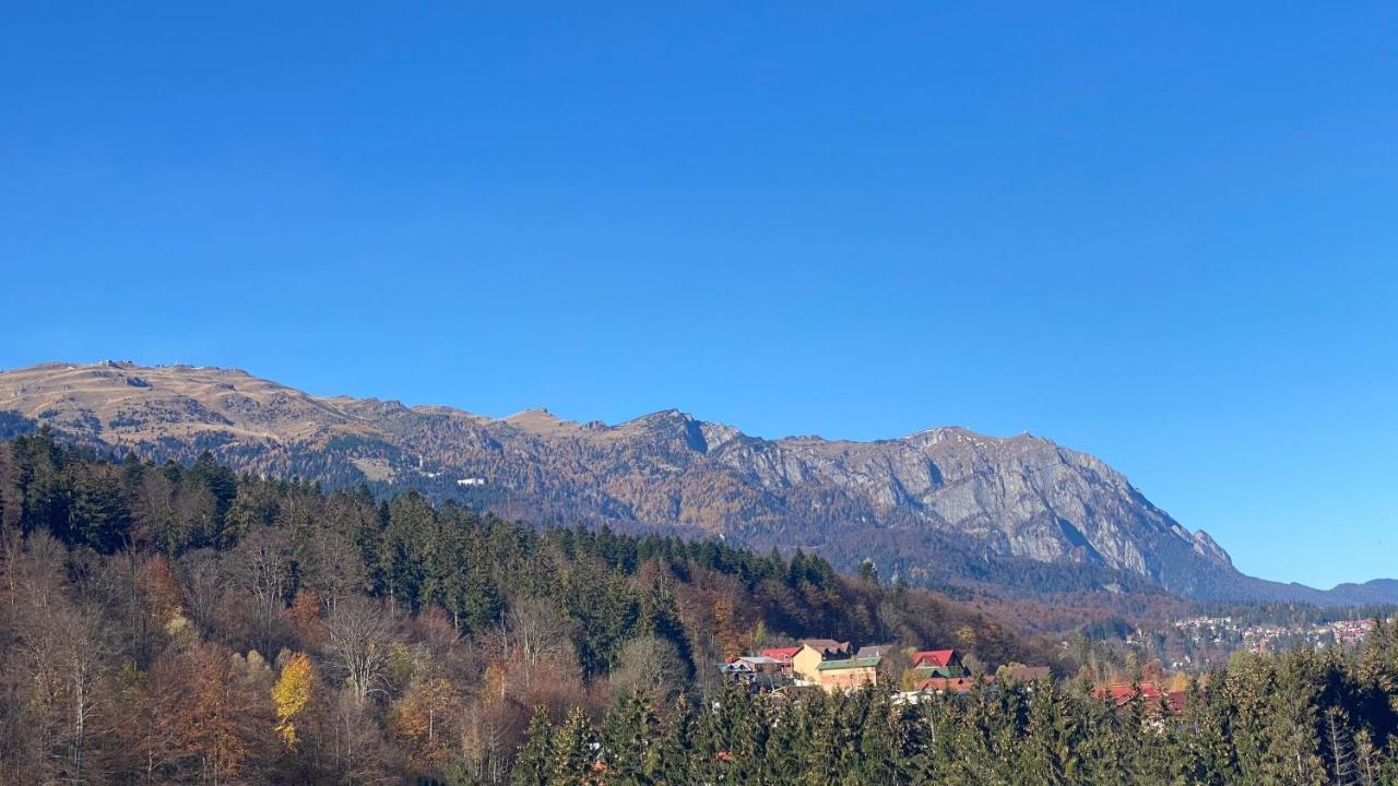 Perfect View Apartment Sinaia Bagian luar foto
