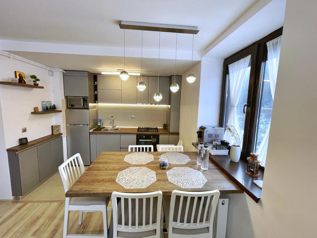 Perfect View Apartment Sinaia Bagian luar foto